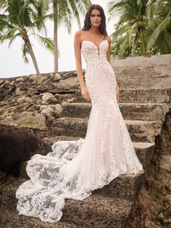 Sottero and Midgley Tanica 24SB190 #0 default Ivory/Silver/Blush thumbnail