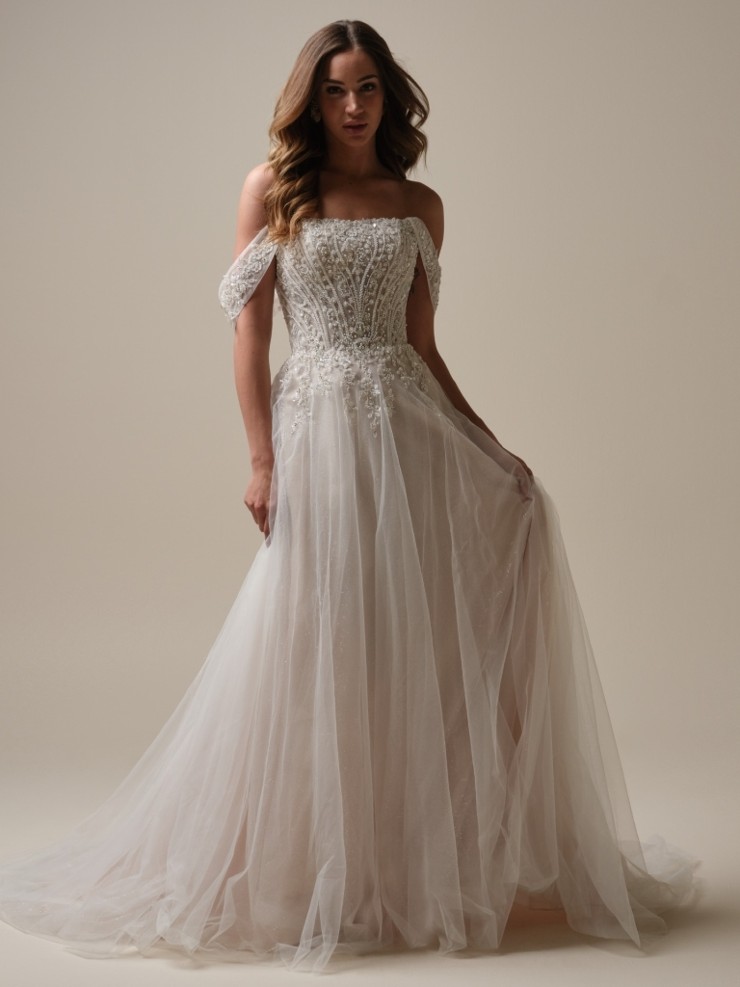 Rebecca Ingram Yvette 25RS340A01 #1 Ivory (gown with Ivory Illusion) picture