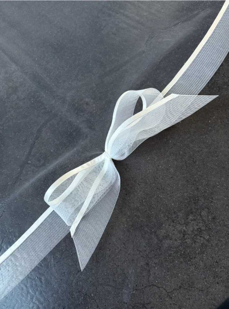 Sara Gabriel Reign Veil #1 Diamond White picture