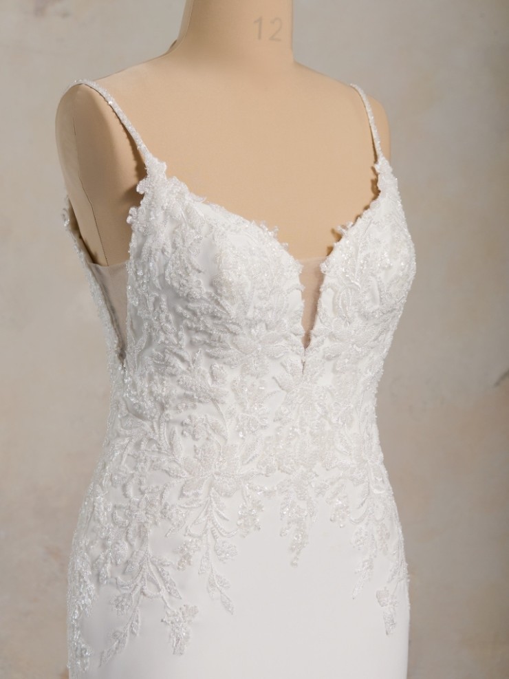 Rebecca Ingram Rafi 24RK817A01 #5 default All Ivory (gown with Ivory Illusion) picture