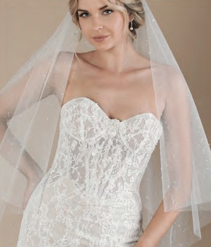 Bel Aire Bridal #V7904C Image