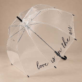 Wedding Star Large Clear Plastic Bubble Umbrella - Love Is in the Air - Wedding Star $0 default thumbnail