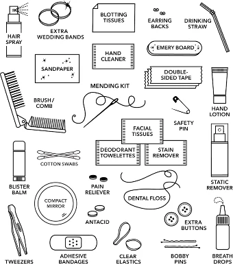 Pinch Provisions Shemergency Survival Kit For Brides| Pinch Provisions $4 thumbnail